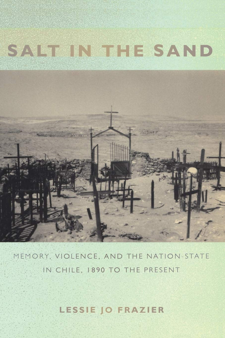 Salt in the Sand: Memory, Violence, and the Nation-State in Chile, 1890 to the Present (Politics, History, and Culture)