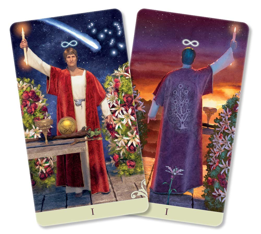 Vice Versa Tarot Kit (Vice Versa Tarot, 1)