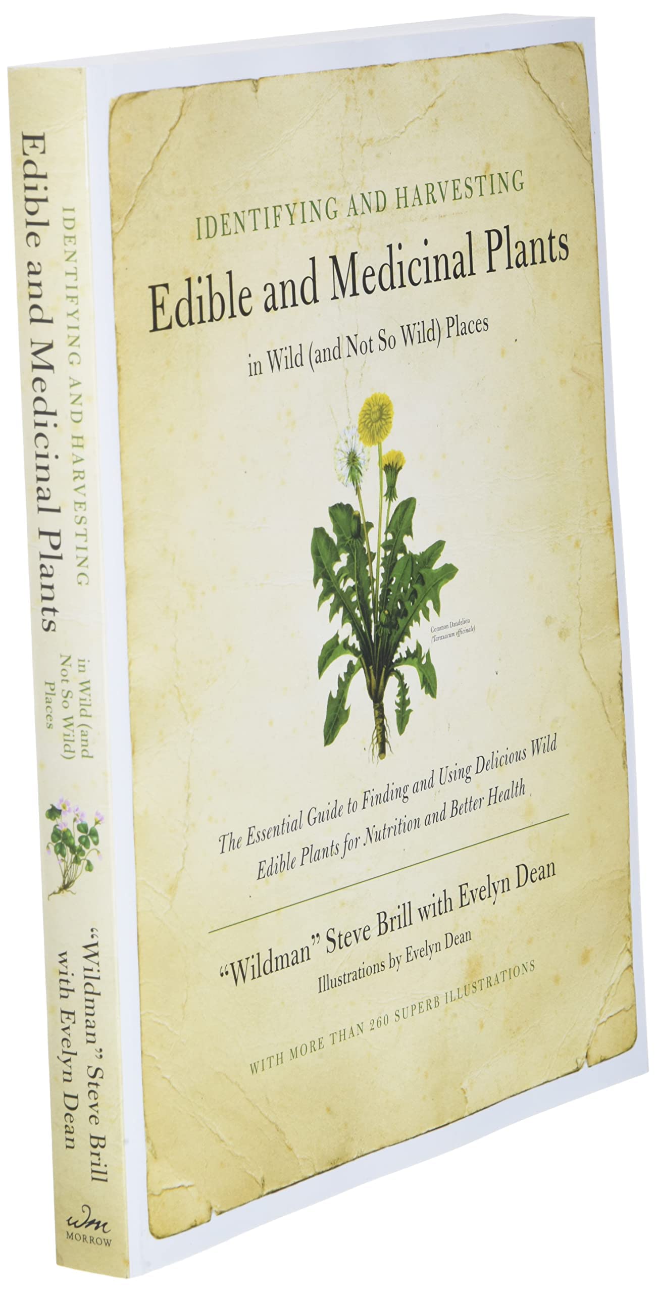 Identifying and Harvesting Edible and Medicinal Plants in Wild (and Not So Wild) Places