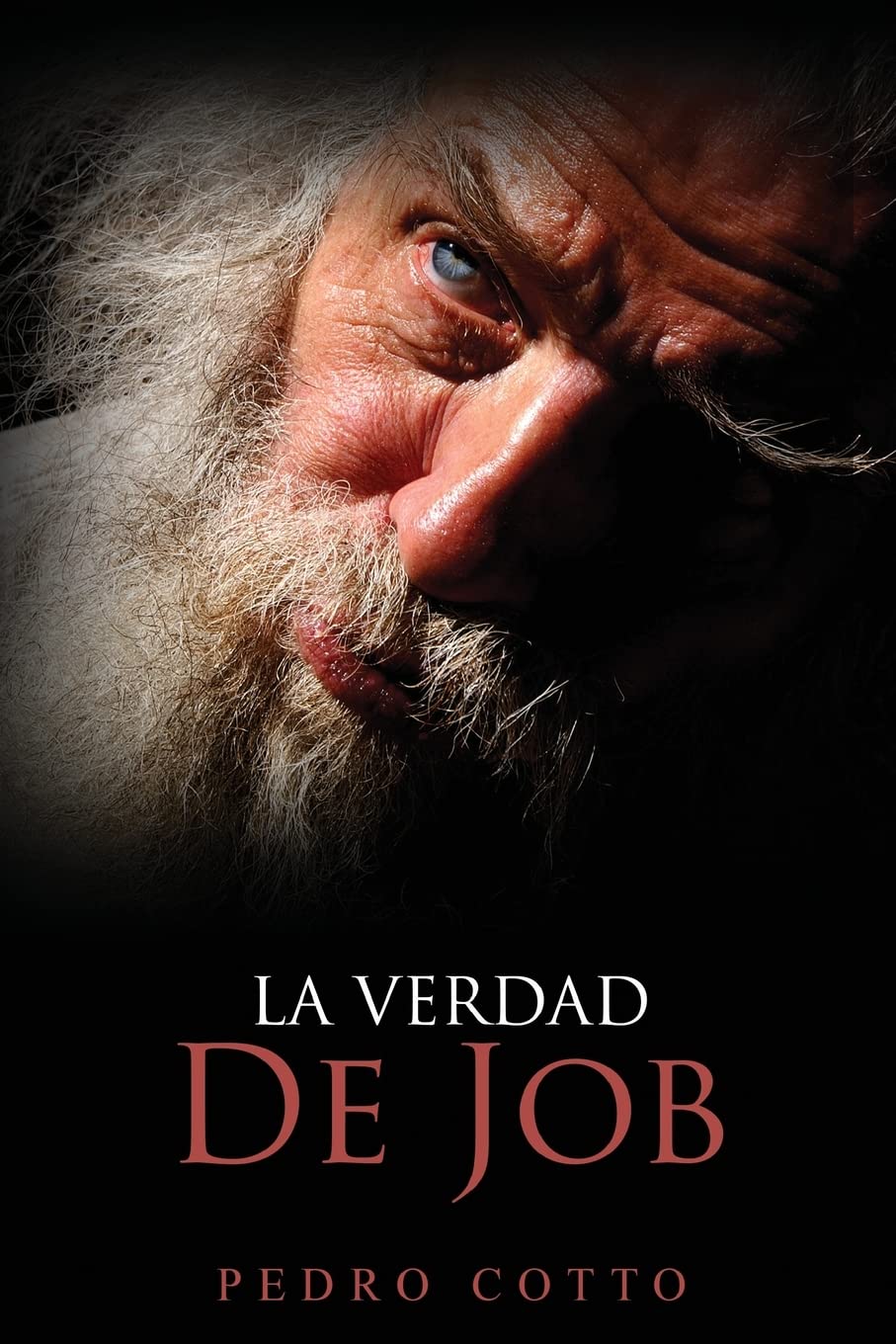 La Verdad De Job (Spanish Edition)