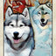 Wise Dog Tarot