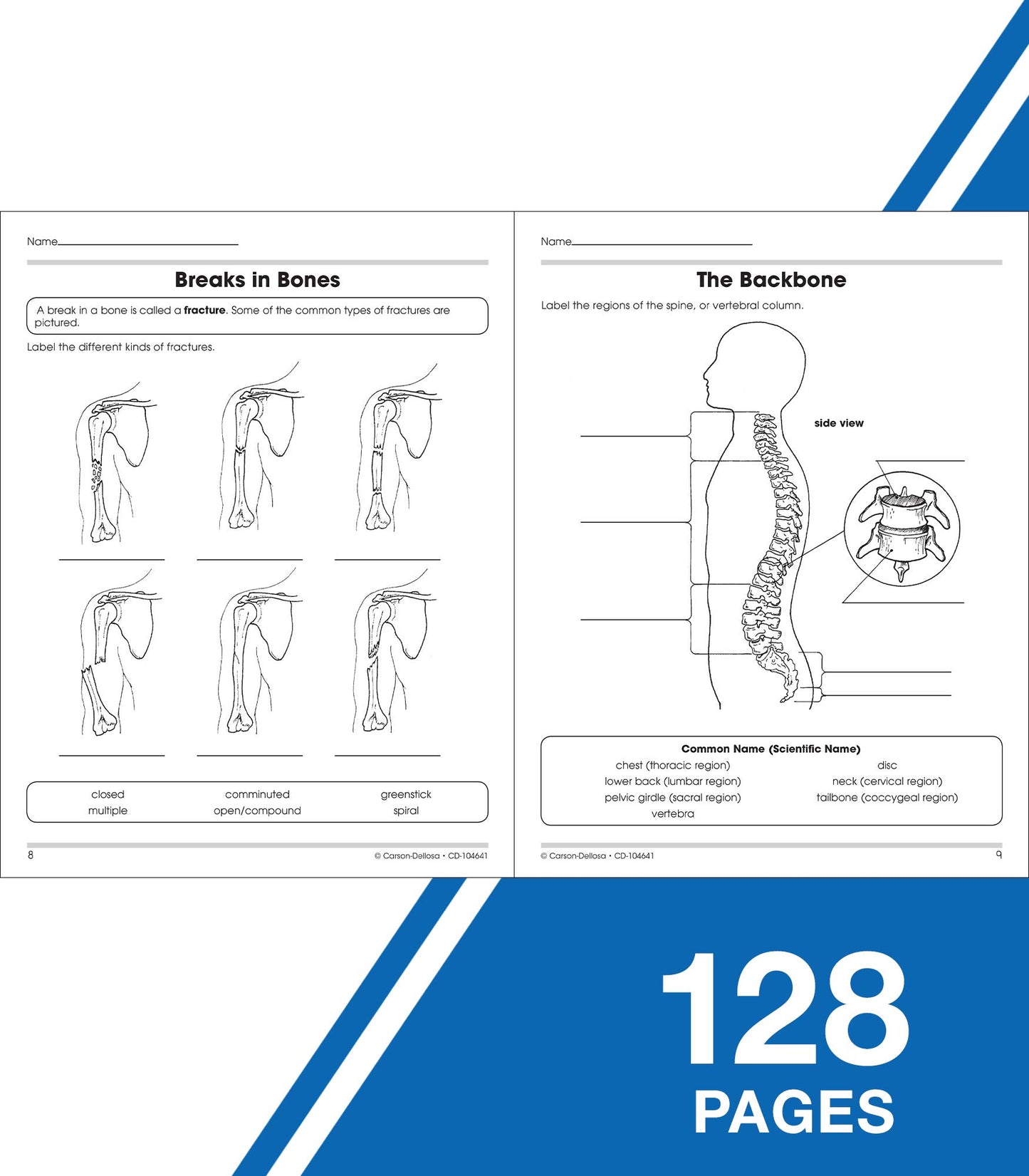 Carson Dellosa The 100+ Series: Human Body Workbook-Grades 5-8 Science Book, Human Anatomy, Bones, Muscles, Organs, the Nervous System, Health and Nutrition (128 pgs)