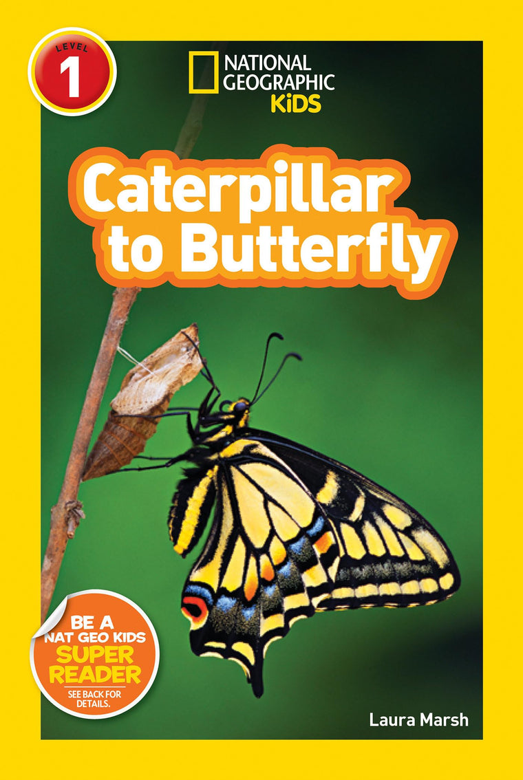 Caterpillar to Butterfly (National Geographic Kids Readers, Level 1)