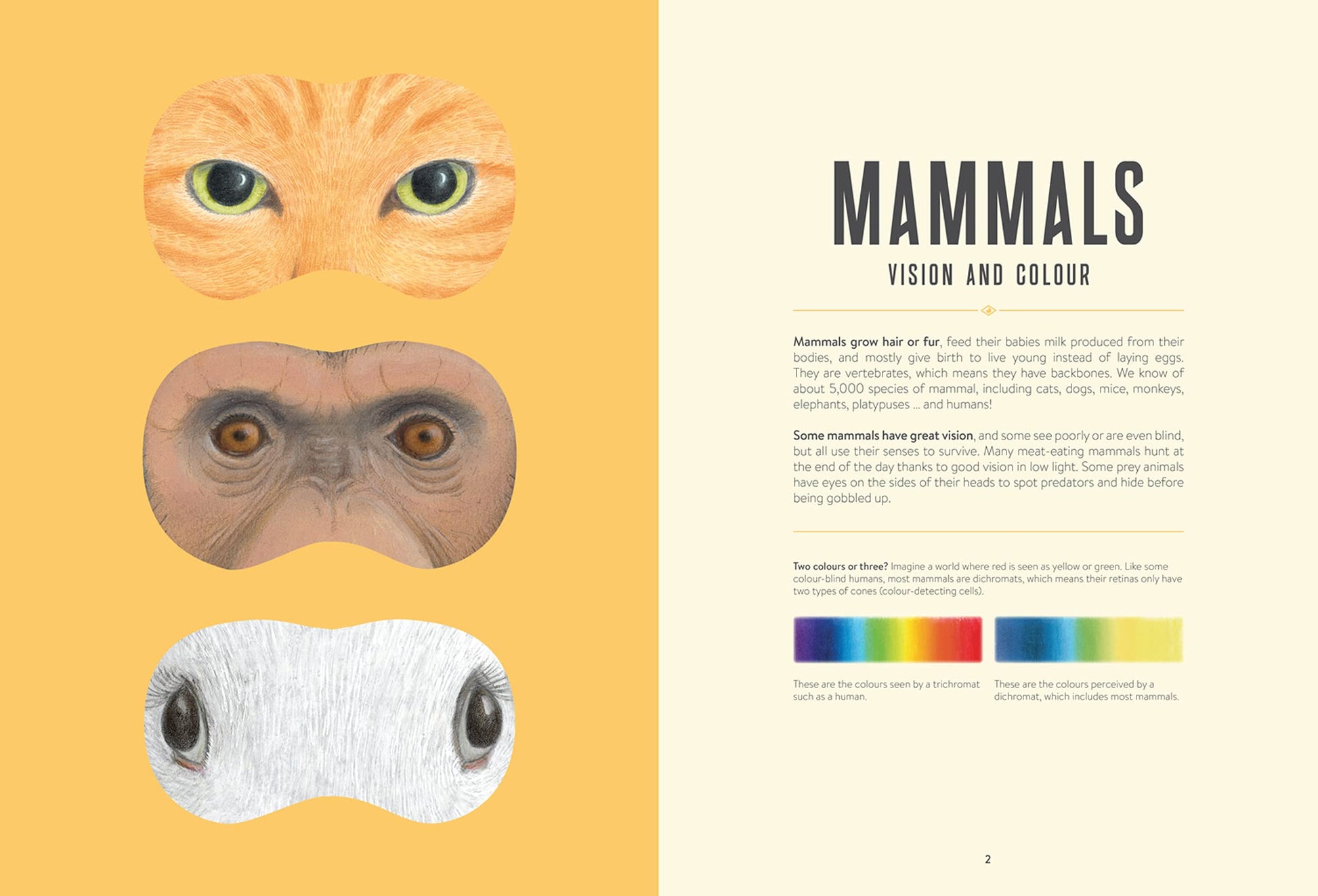 Eye Spy: Wild Ways Animals See the World