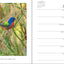 Sierra Club Engagement Calendar 2021