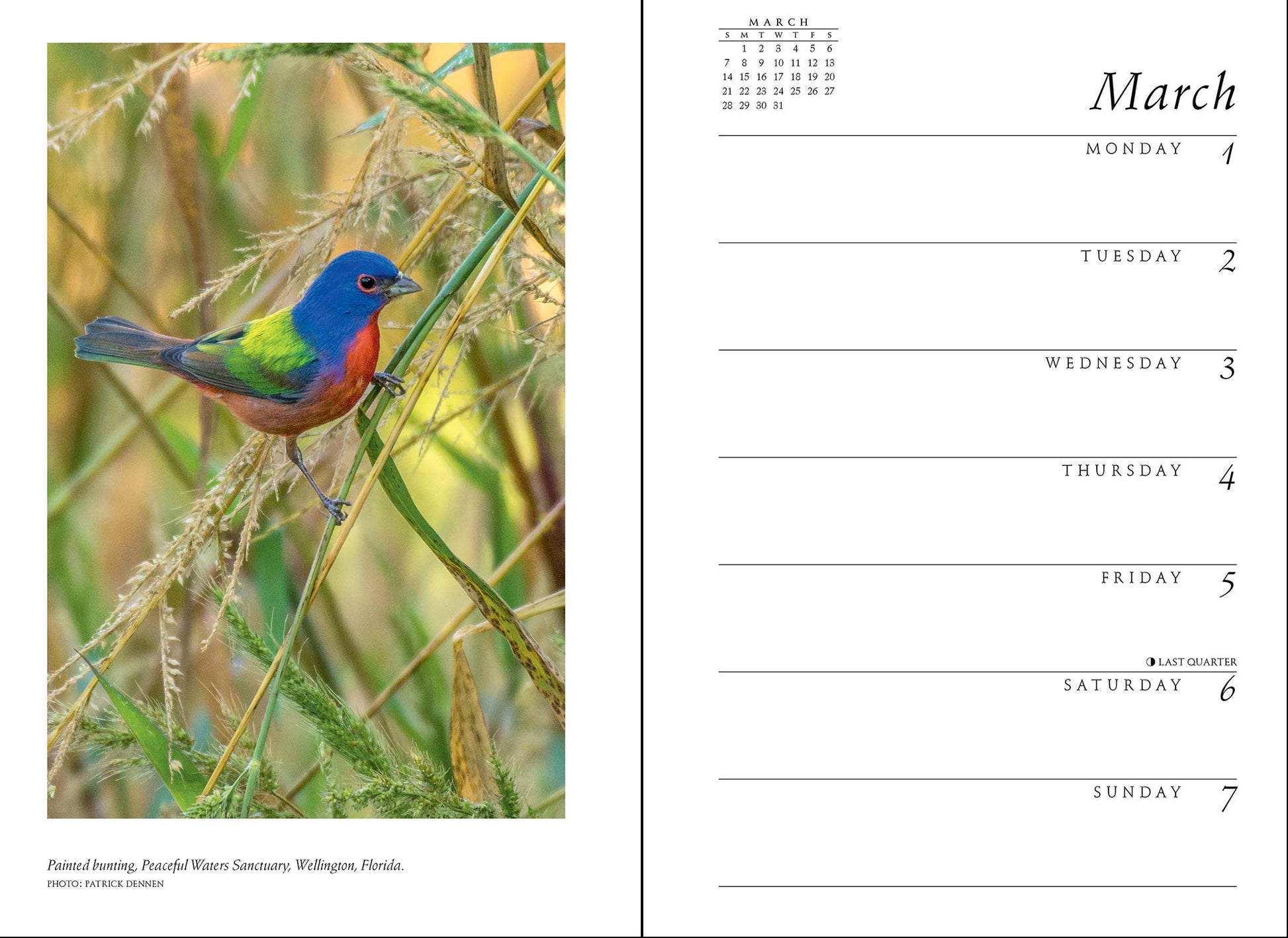 Sierra Club Engagement Calendar 2021