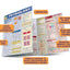 Physiology: QuickStudy Laminated Reference Guide (QuickStudy Academic)