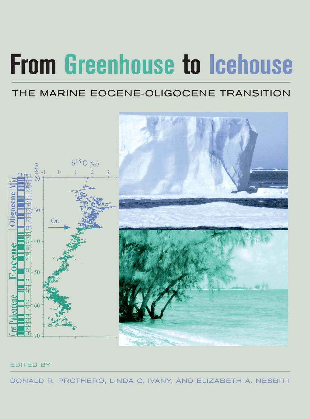 From Greenhouse to Icehouse