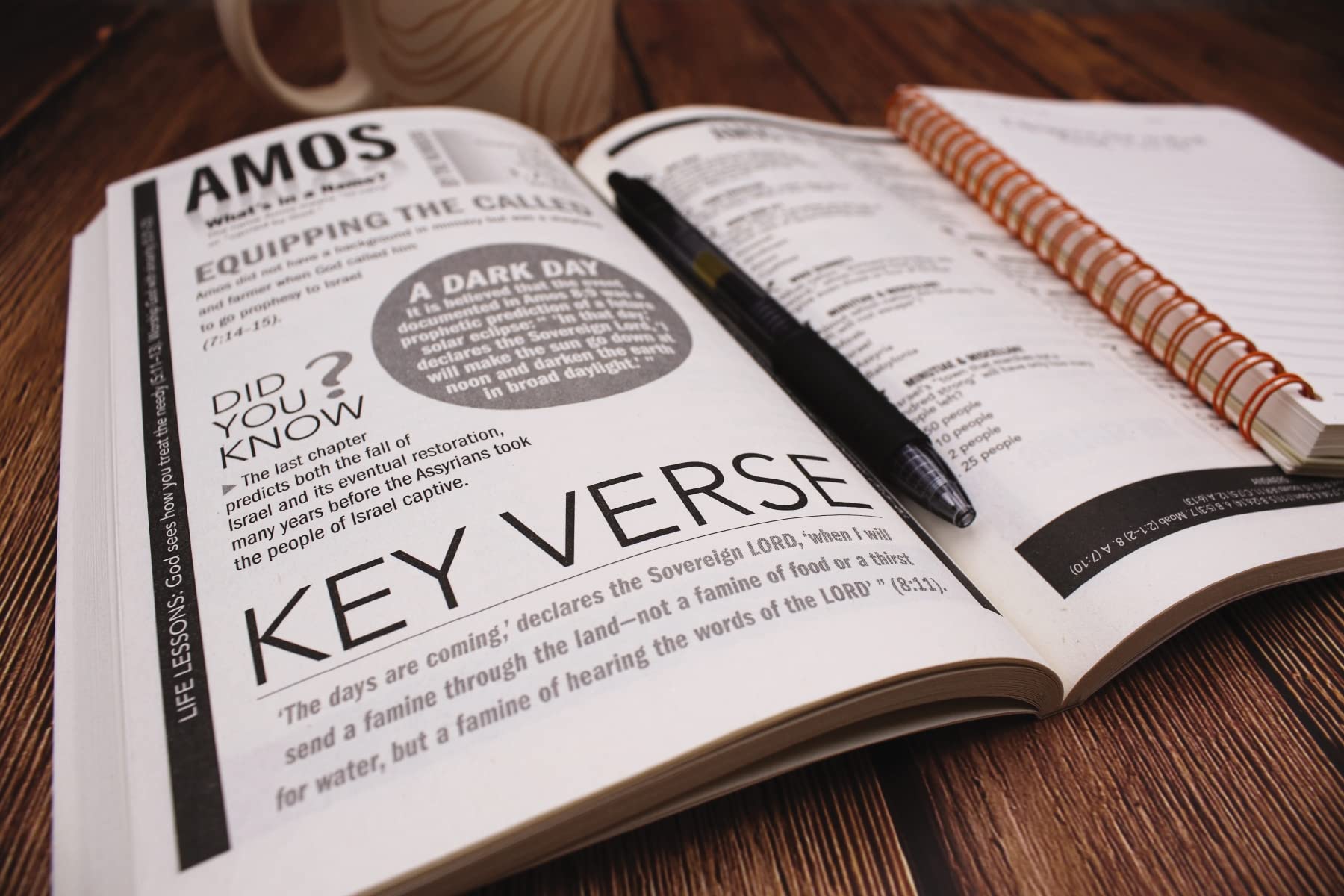 1,000 Trivia Facts About the Bible