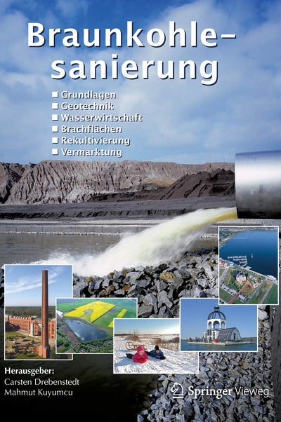 Braunkohlesanierung: Grundlagen, Geotechnik, Wasserwirtschaft, Brachflchen, Rekultivierung, Vermarktung (German Edition)