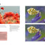 Digital Macro & Close-up Photography: New Edition