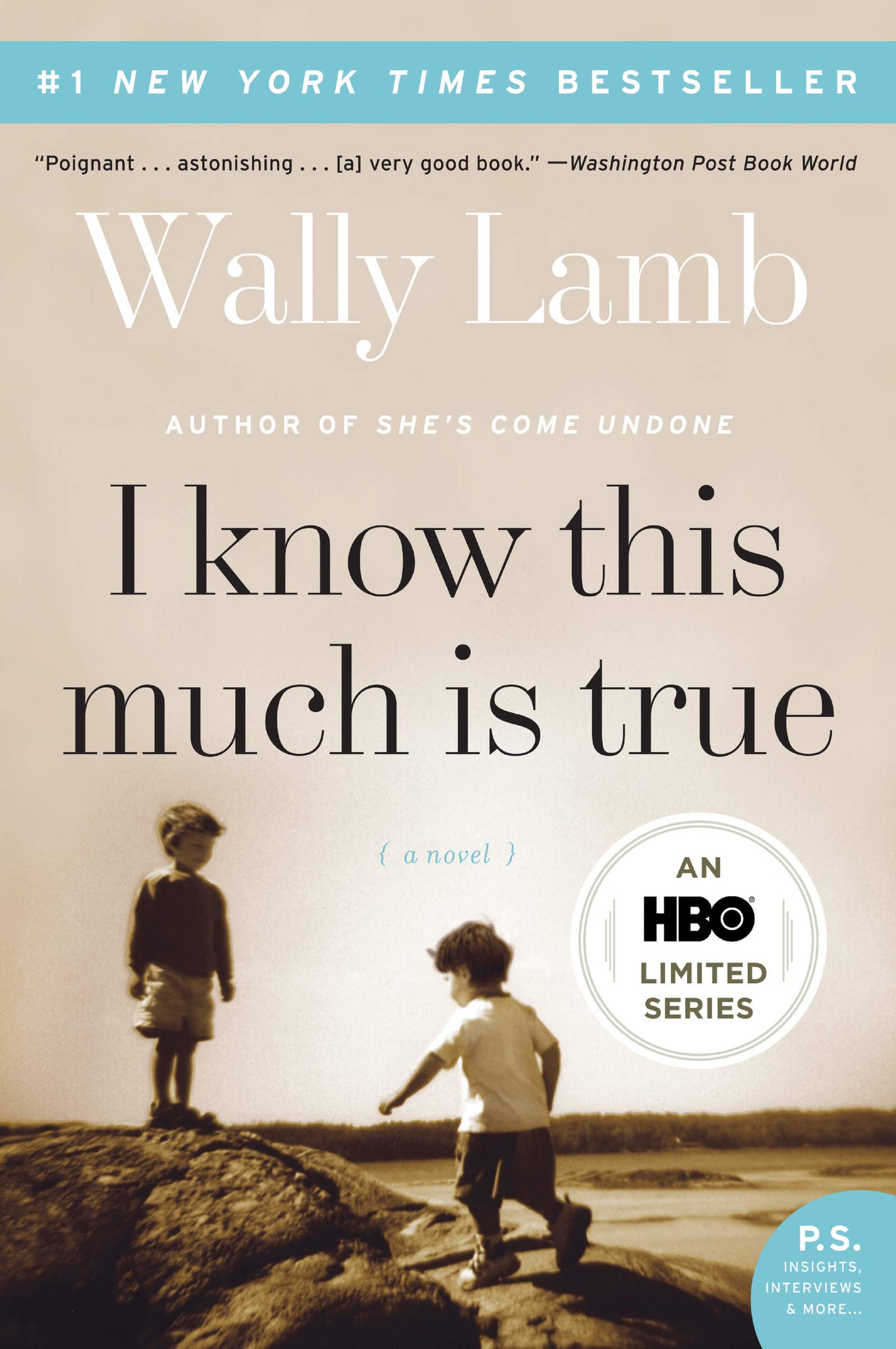 I Know This Much Is True: A Powerful Story of Brothers, Mental Illness, and the Search for Forgiveness (P.S.)