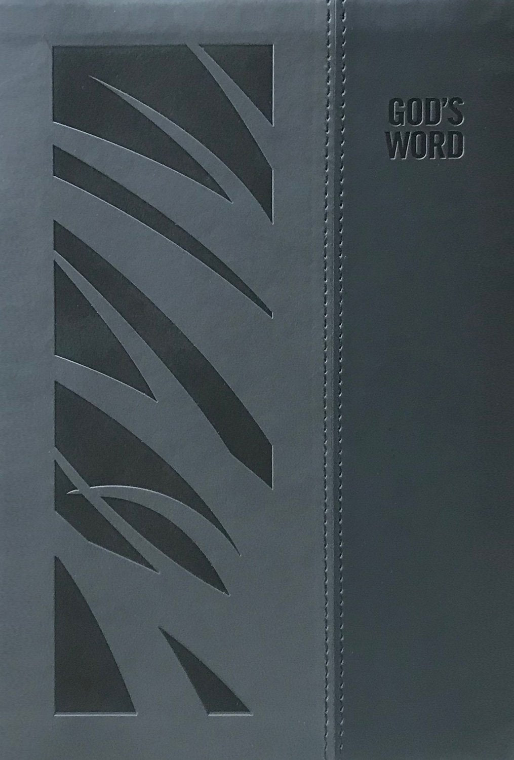 GODS WORD Translation Deluxe Large Print Bible: The Bible in