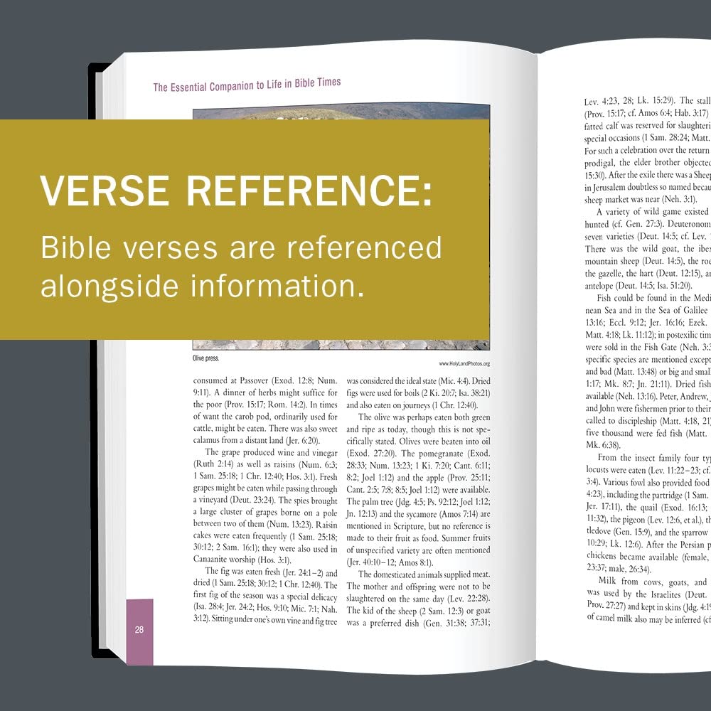 The Essential Companion to Life in Bible Times: Key Insights for Reading God's Word (Essential Bible Companion Series)