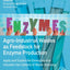 Agro-Industrial Wastes as Feedstock for Enzyme Production: Apply and Exploit the Emerging and Valuable Use Options of Waste Biomass