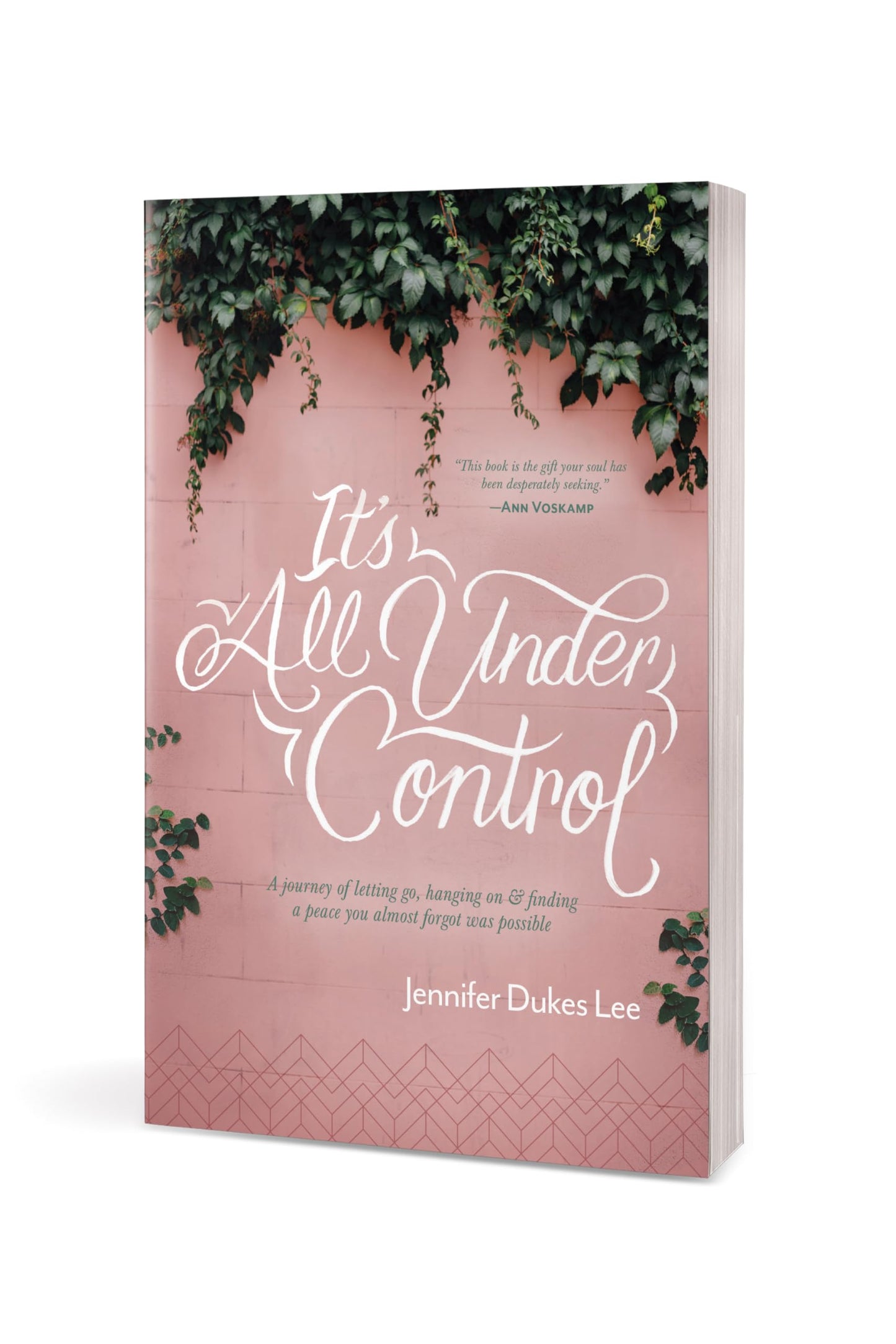 It's All Under Control: A Journey of Letting Go, Hanging On, and Finding a Peace You Almost Forgot Was Possible
