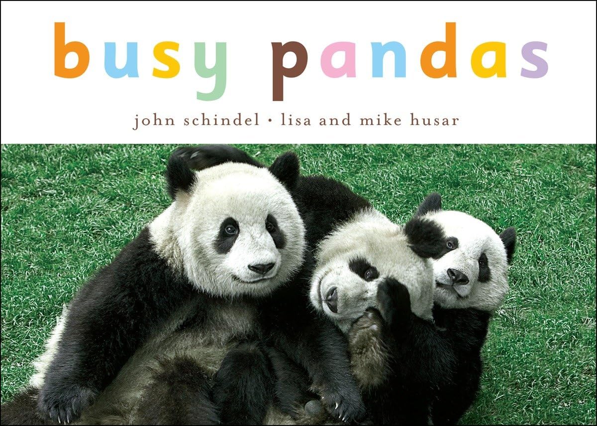 Busy Pandas (A Busy Book)