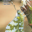 Butterflies of Central & Northern California: A Guide to Common & Notable Species