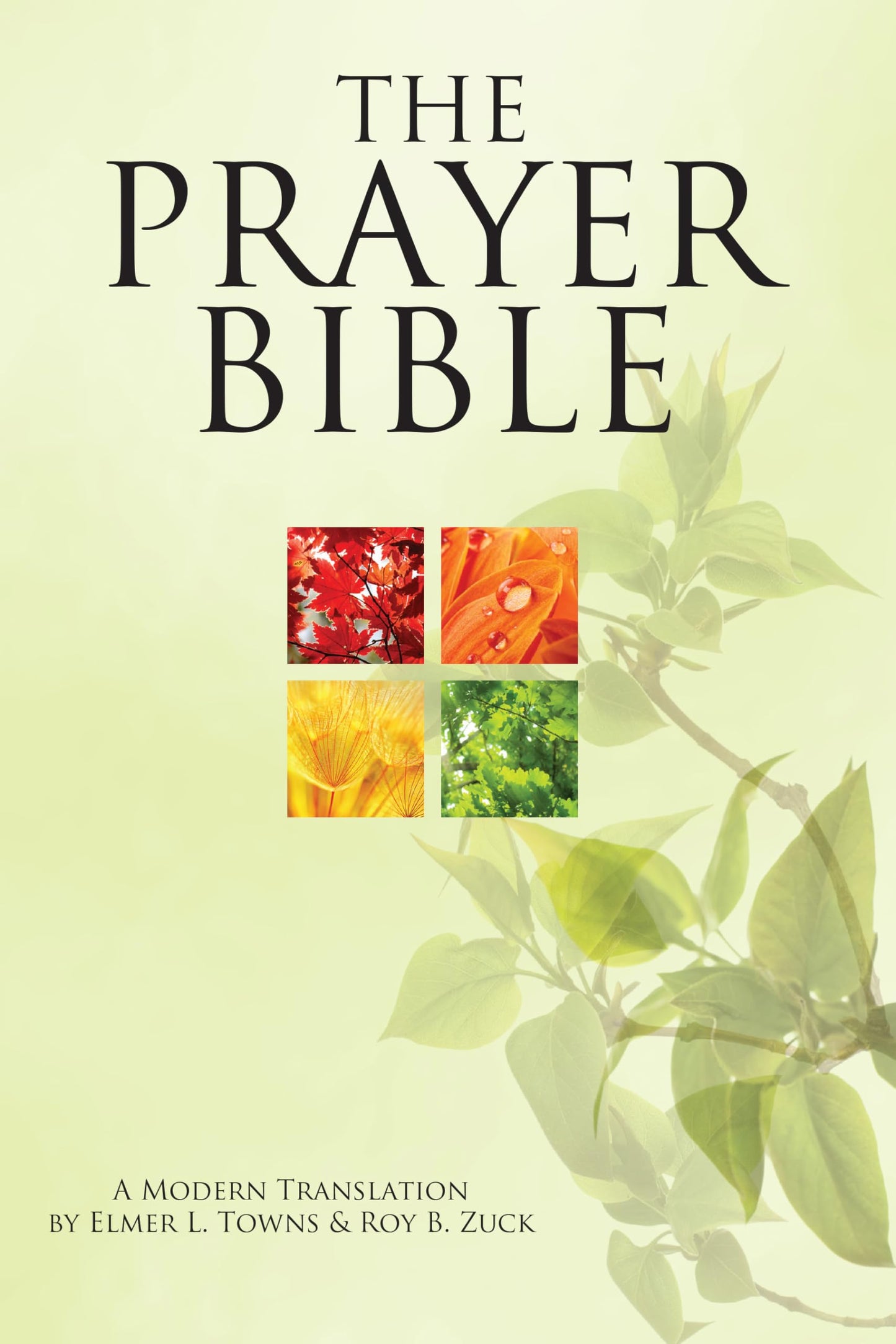 The Prayer Bible: A Modern Translation by Towns, Elmer