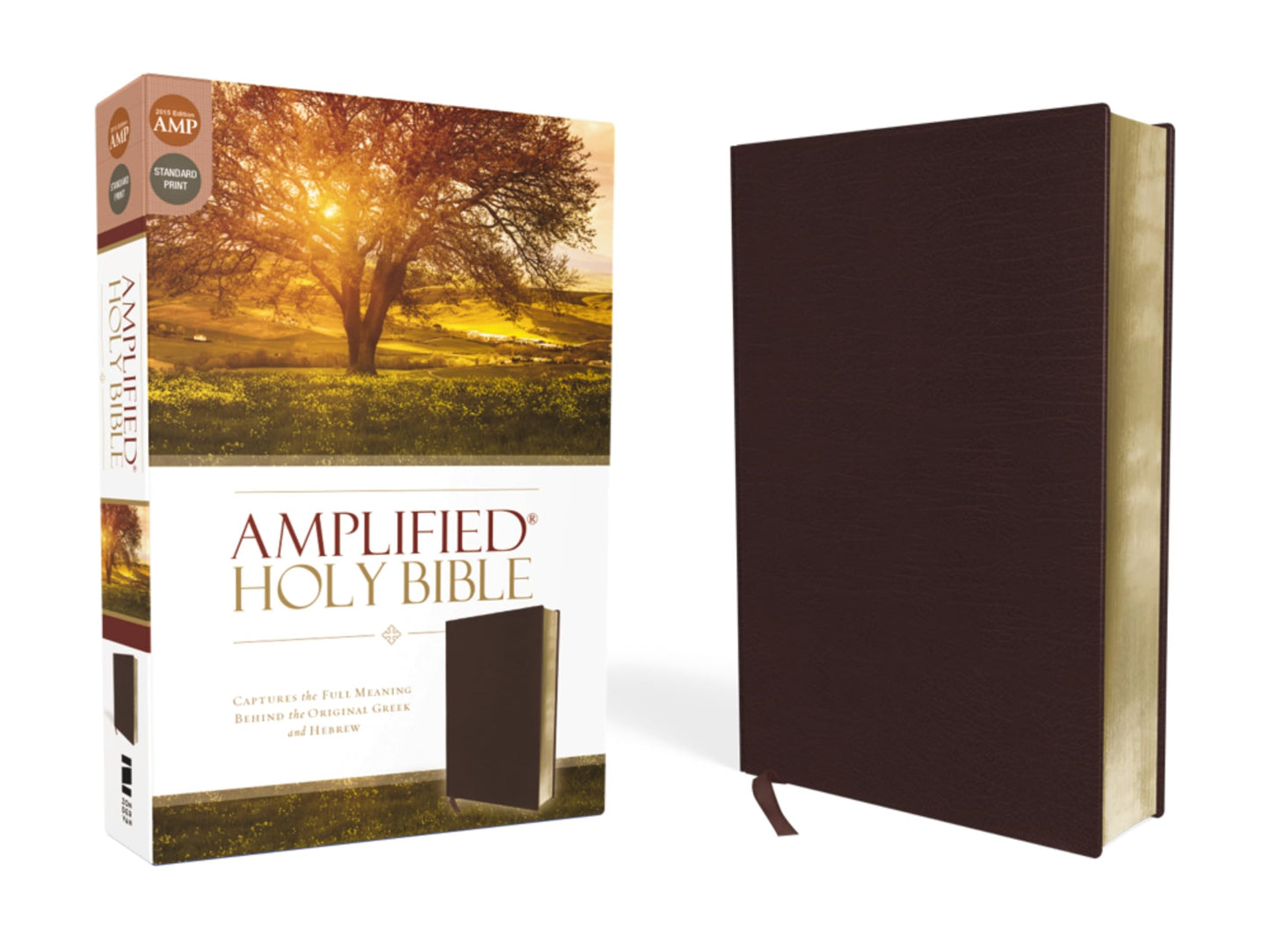 Amplified Holy Bible, Bonded Leather, Burgundy: Captures the