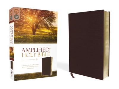 Amplified Holy Bible, Bonded Leather, Burgundy: Captures the