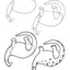 How To Draw Upside Down For Kids: Using the Technique of Drawing on The Right Side of the Brain (Upside Down Art)