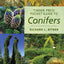 Timber Press Pocket Guide to Conifers (Timber Press Pocket Guides)