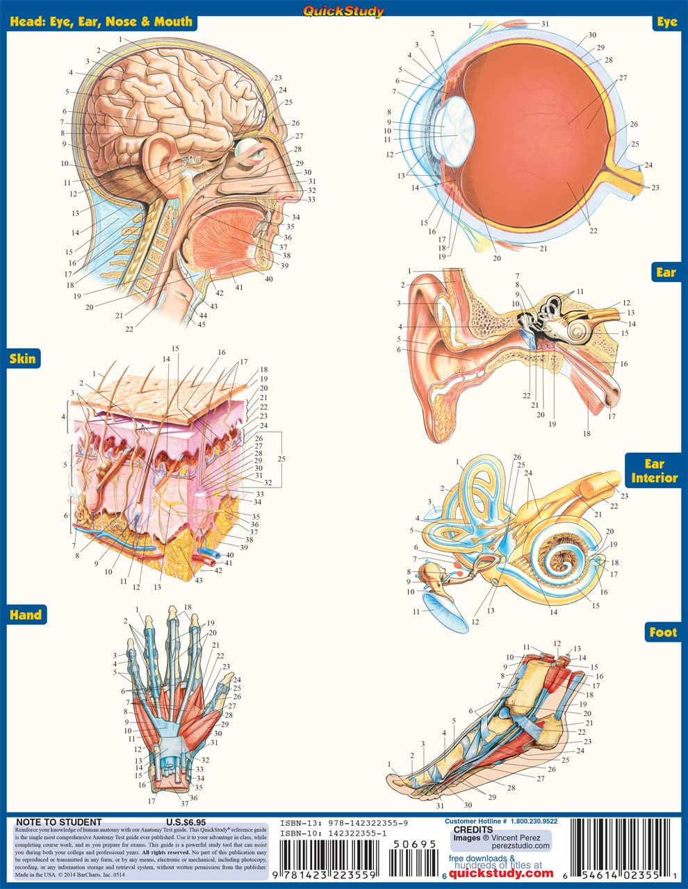 Anatomy Test