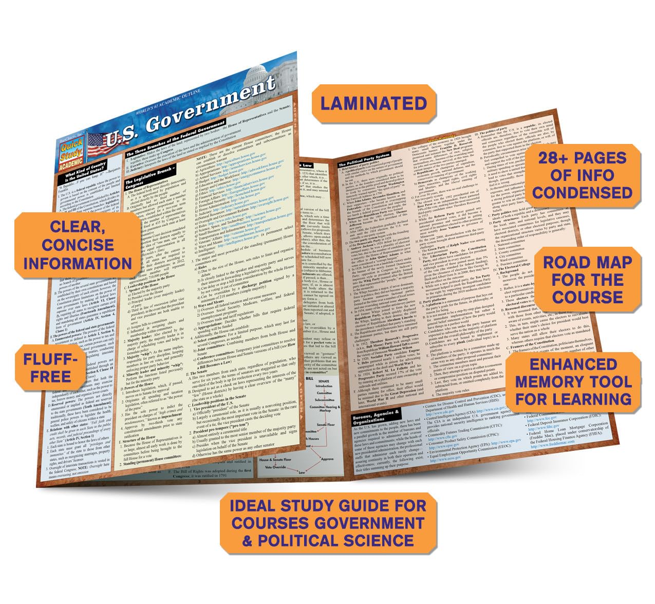 U.S. Government Terminology: QuickStudy Laminated Reference Guide