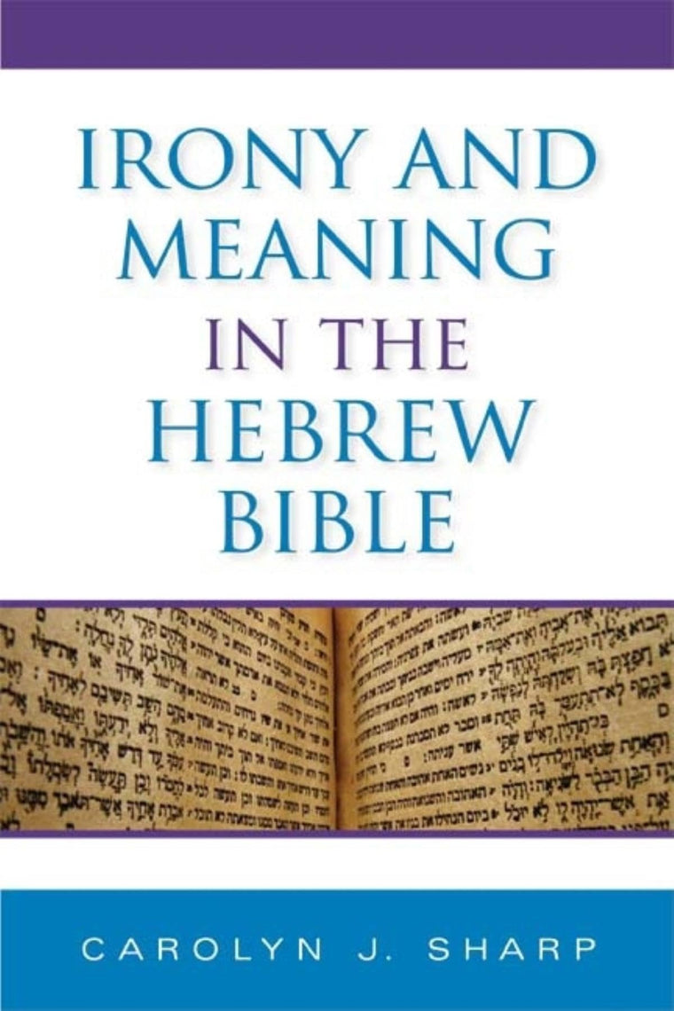 Irony and Meaning in the Hebrew Bible (Biblical Literature)
