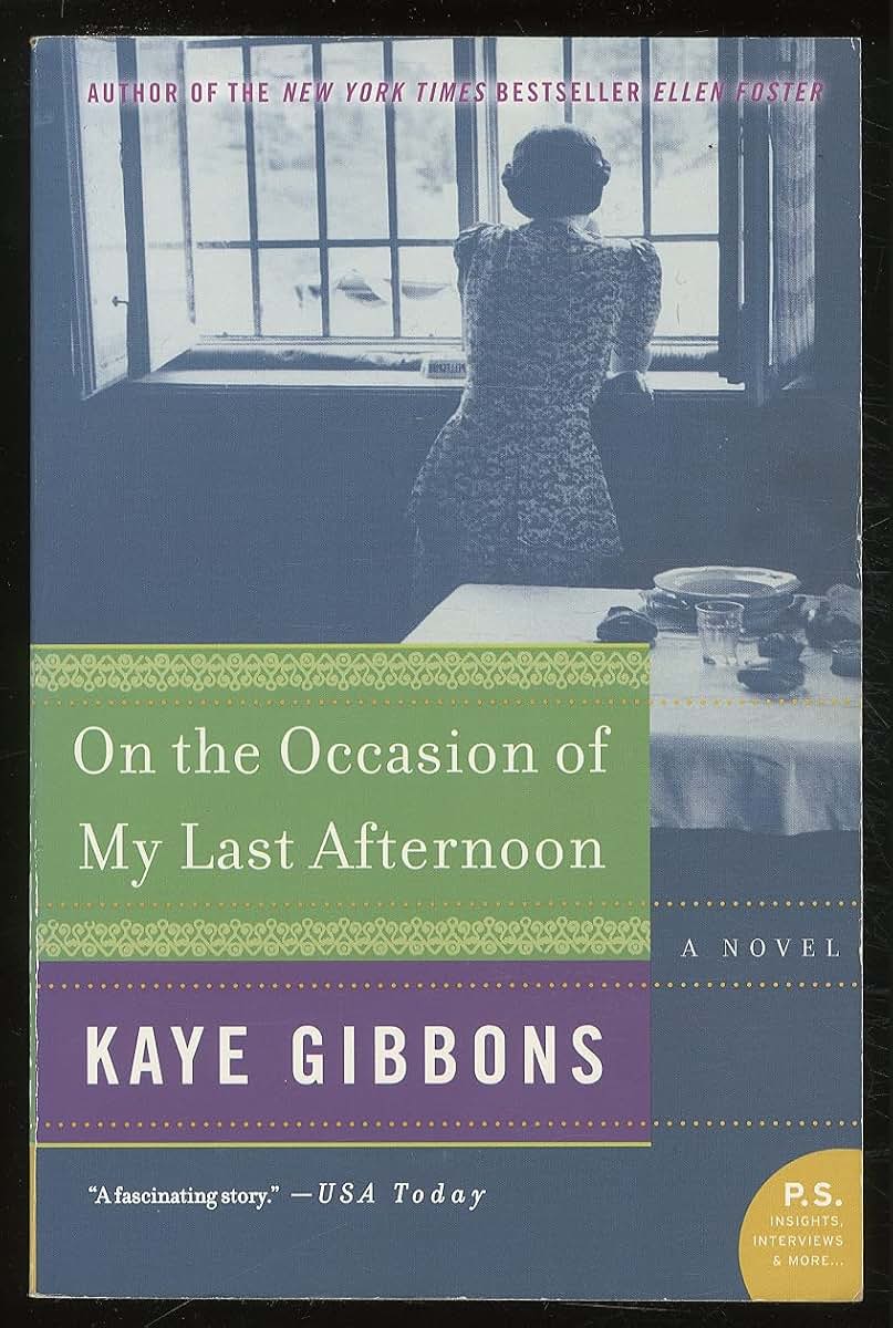 On the Occasion of My Last Afternoon: A Novel