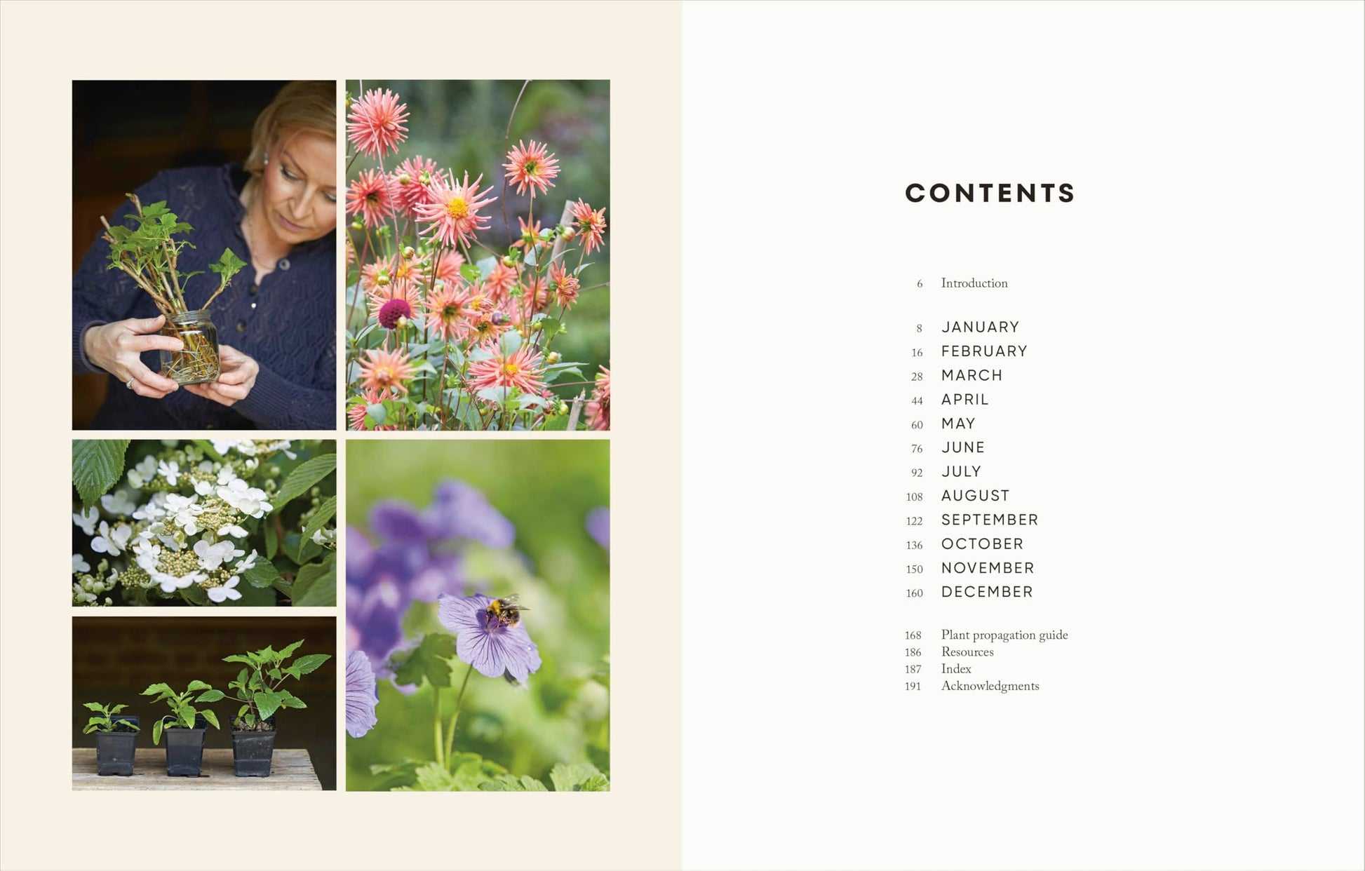The Money-Saving Garden Year: A Month-by-month Guide to a Great Garden that Costs Less
