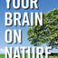 Your Brain On Nature