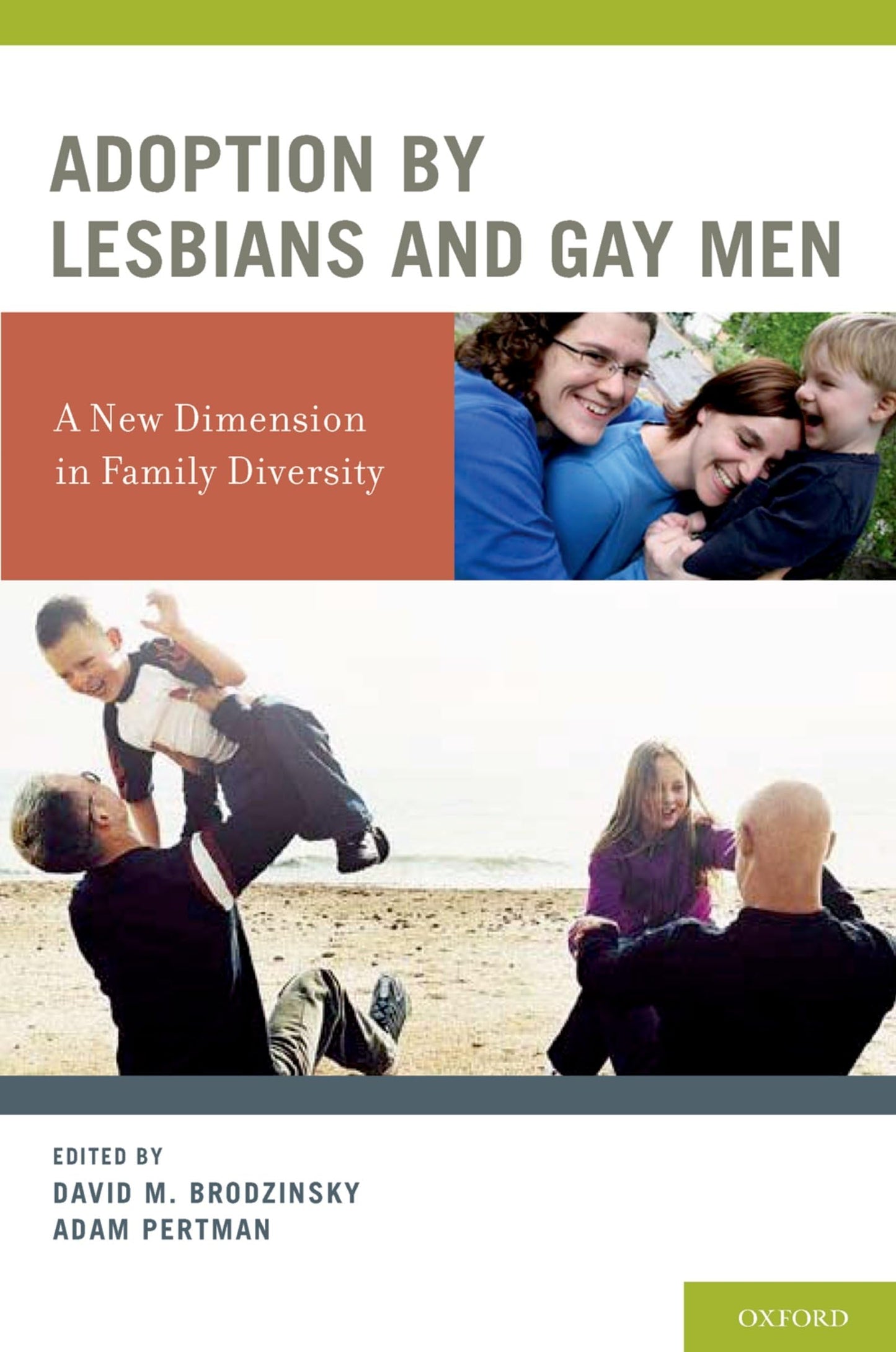 Adoption by Lesbians and Gay Men: A New Dimension in Family Diversity