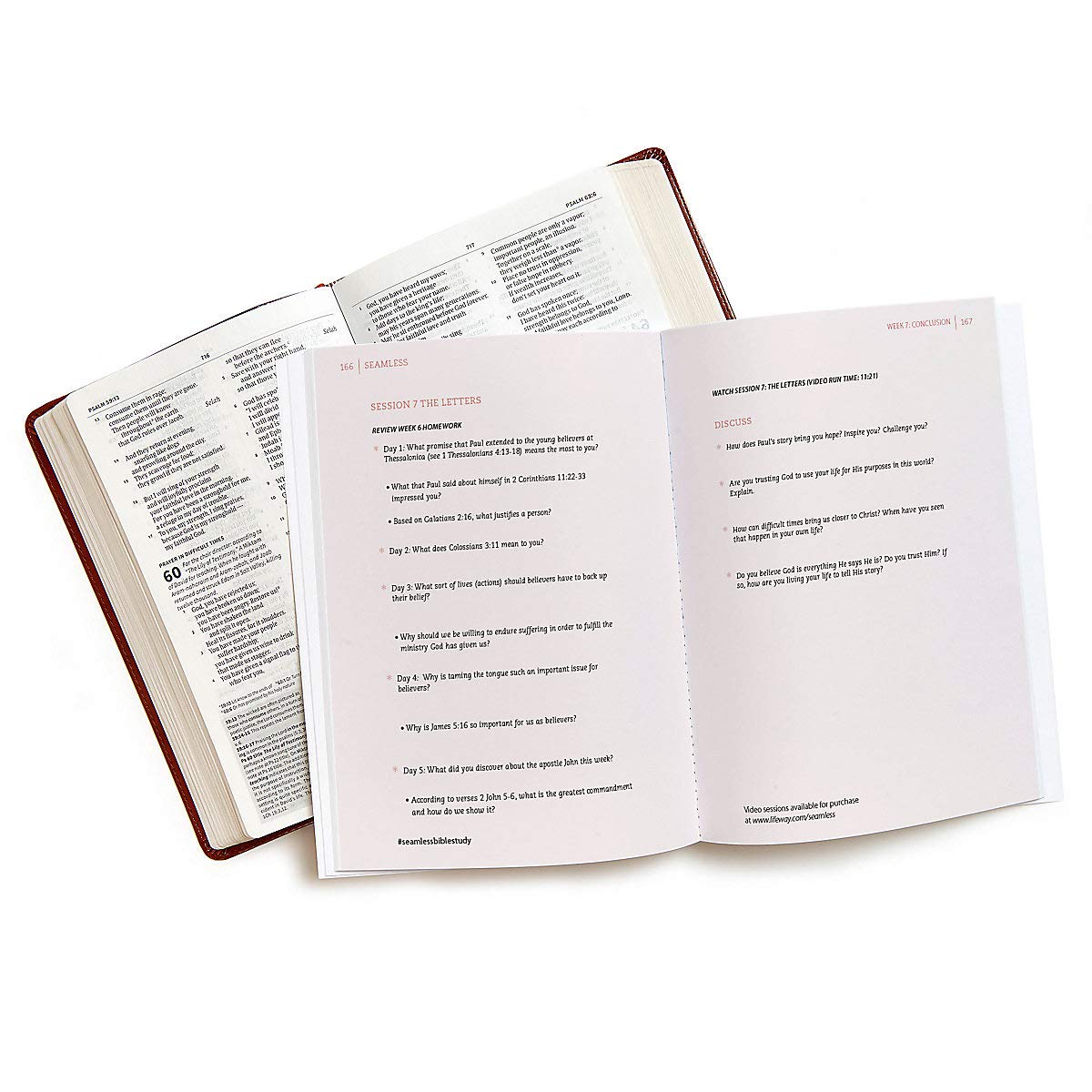 Seamless: Understanding the Bible as One Complete Story