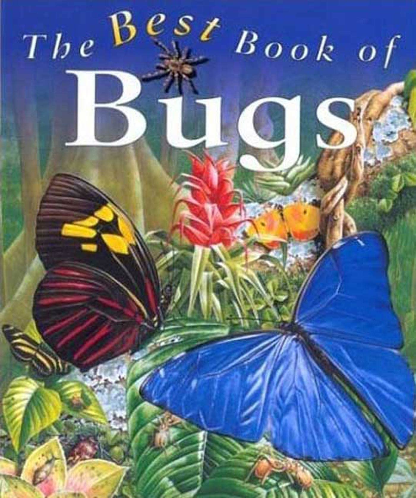 The Best Book of Bugs