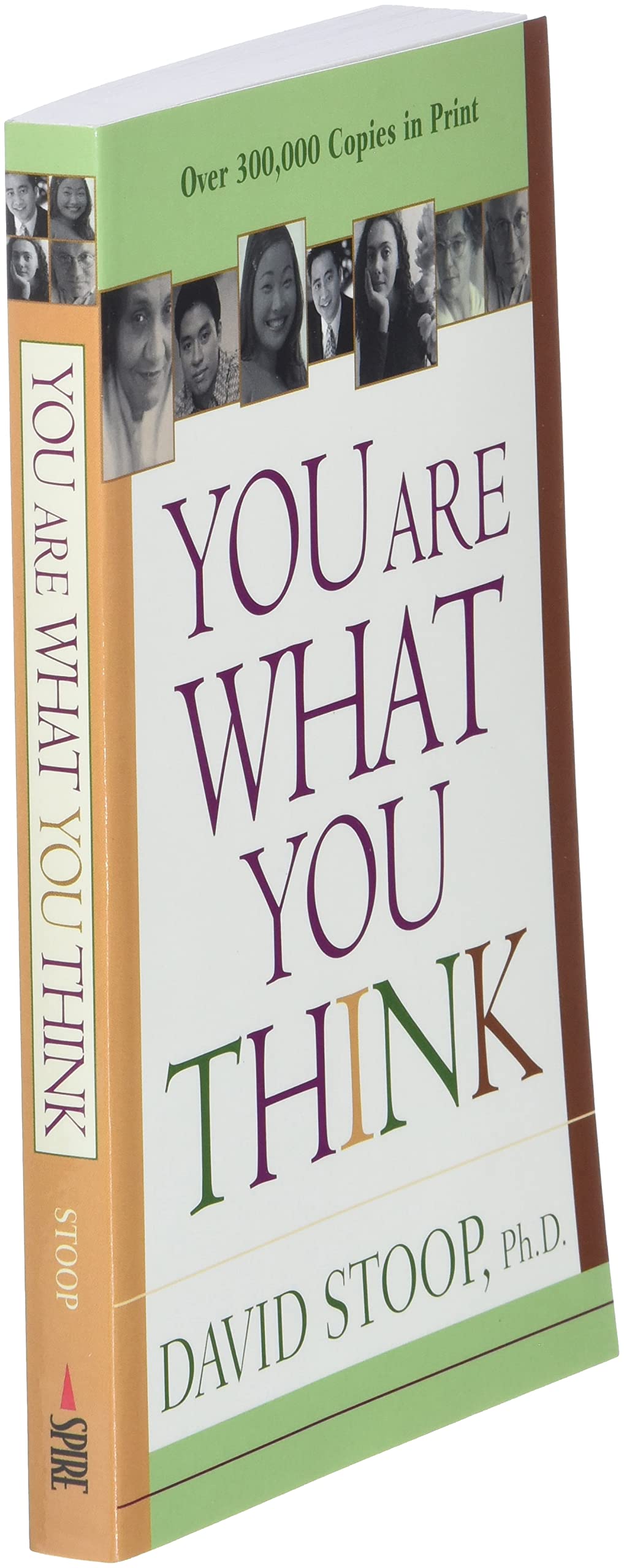 You Are What You Think by David Stoop