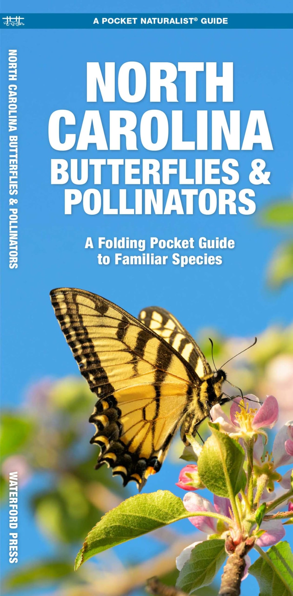 North Carolina Butterflies & Pollinators: A Folding Pocket Guide to Familiar Species (Nature Observation North America)