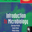 11th Hour Introduction to Microbiology