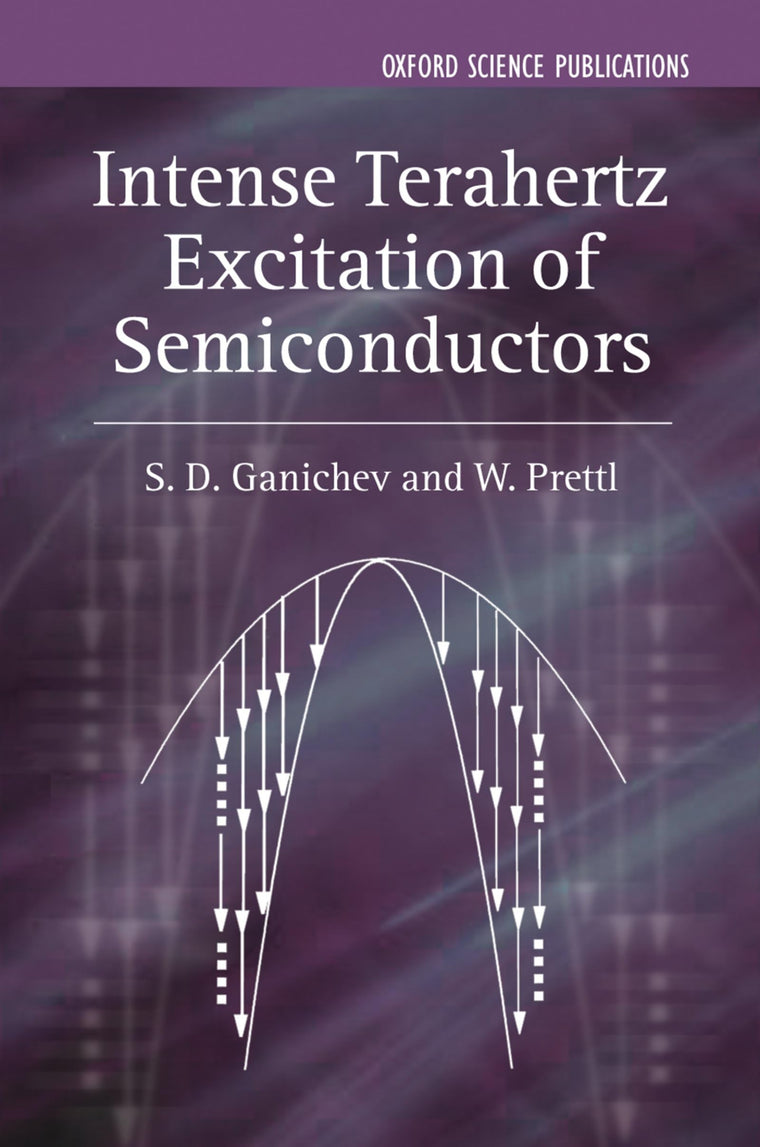 Intense Terahertz Excitation of Semiconductors (Series on Semiconductor Science and Technology)