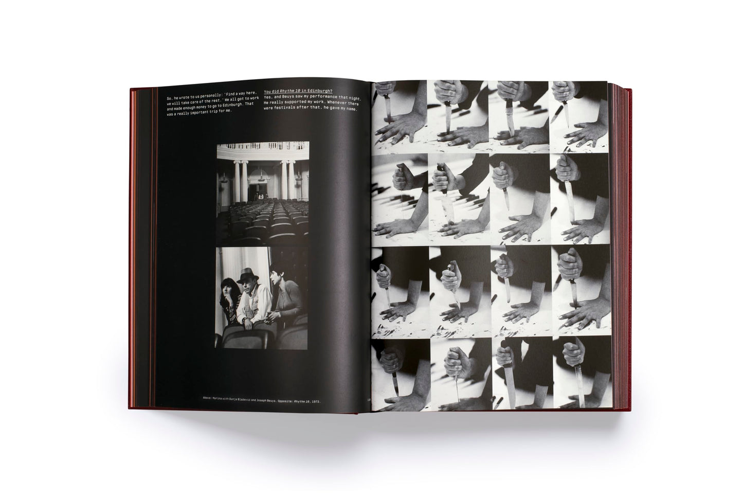 Marina Abramovic: A Visual Biography (-)