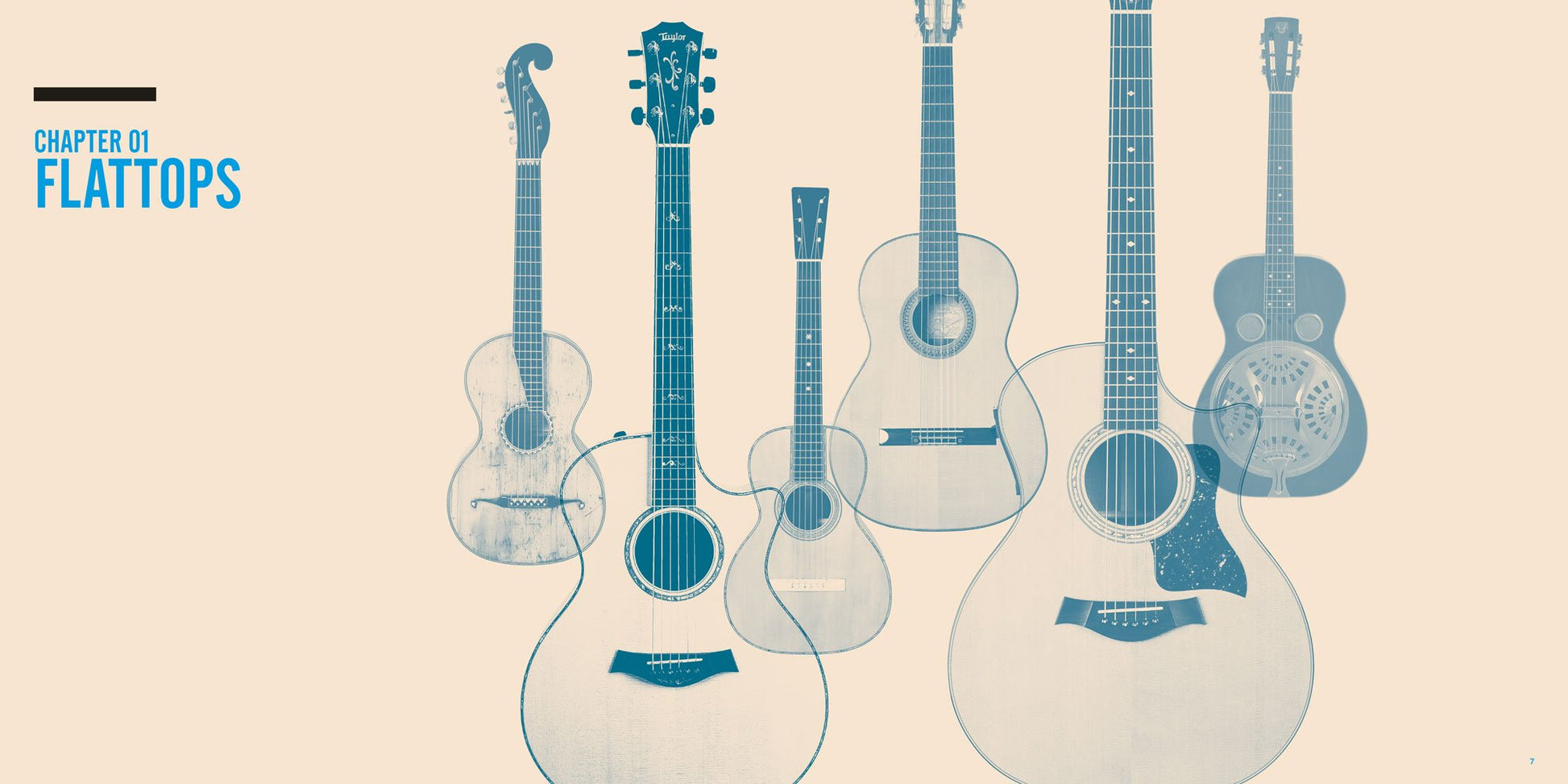 The Guitar Collection