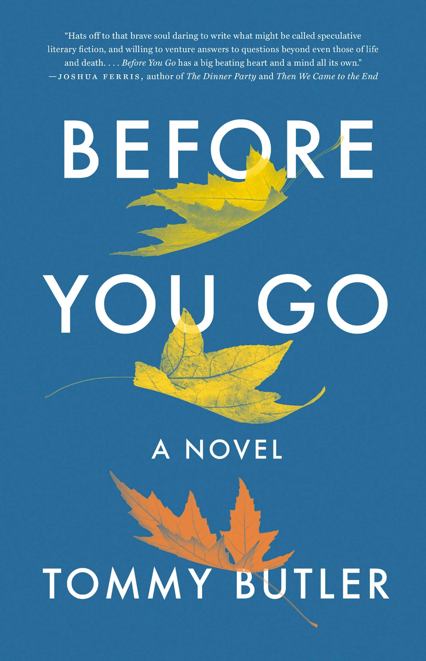 Before You Go: A Novel by Butler, Tommy