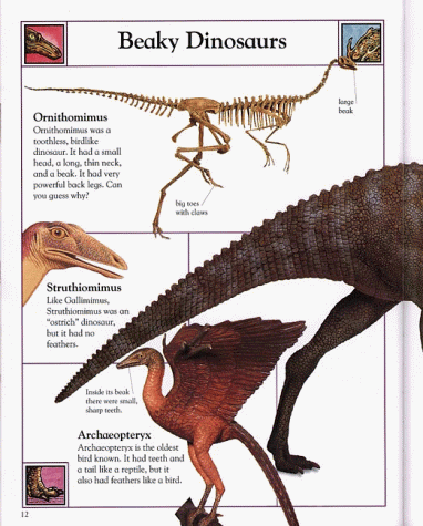 Big Book of Dinosaurs