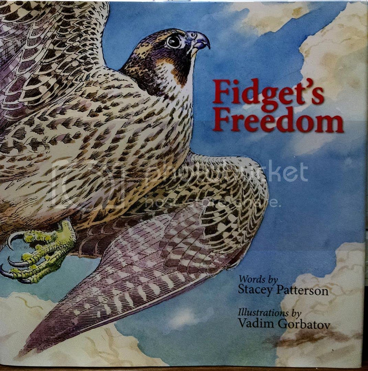 Fidget's Freedom (Practical Handbook) by Patterson, Stacey