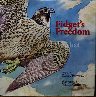 Fidget's Freedom (Practical Handbook)