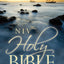 NIV, Holy Bible, Larger Print, Paperback