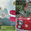Alpine Flavours: Authentic recipes from the Dolomites, the heart of the Alps