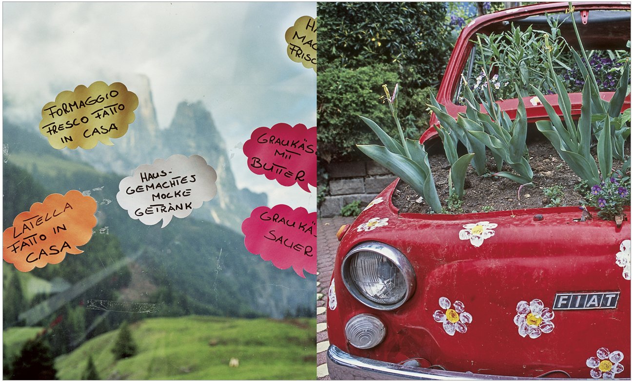 Alpine Flavours: Authentic recipes from the Dolomites, the heart of the Alps