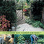 Tending Your Garden: A Year-Round Guide to Garden Maintenance